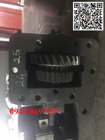 Cóc trích lực xe chiến thắng