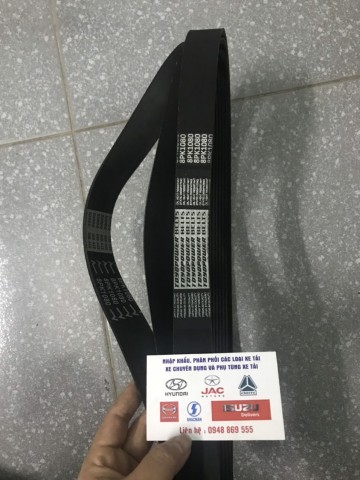 Dây curoa 8PK1080