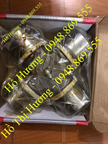 Bi chữ thập Howo 62*160