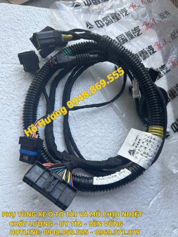 Bộ dây điện điều khiển cánh cửa Howo WG9525771653