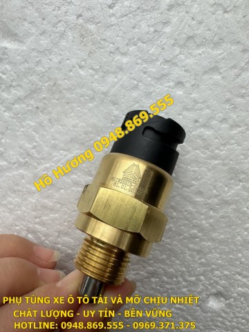 Cảm biến cài cầu Howo máy điện 811W25503-0244